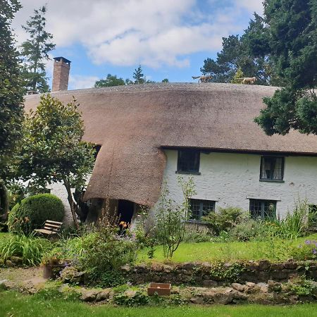 Gasthaus Ford House Stockland Exterior foto